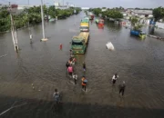 Banjir Rob Melanda, Jalur Pantura Semarang-Demak Tergenang Hingga 50 Cm