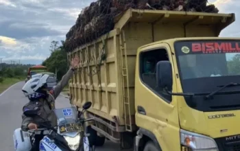 Demi keselamatan jalan, polisi tingkatkan razia kendaraan odol di lamandau