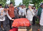 Dukung ketahanan pangan, polres sukoharjo dan forkopimda panen jagung 5