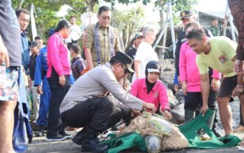 Dukung konservasi, kapolres jembrana hadiri pelepasliaran penyu hijau di gilimanuk