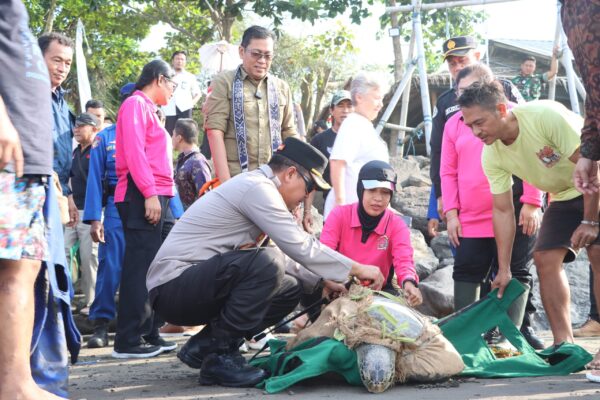 Dukung konservasi, kapolres jembrana hadiri pelepasliaran penyu hijau di gilimanuk