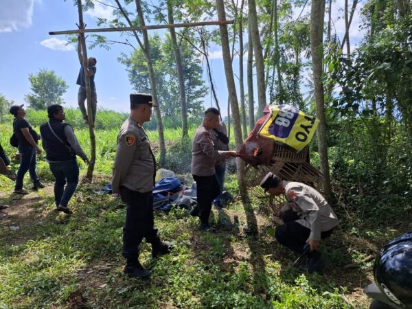 Gelar penggerebekan, polresta malang kota bongkar judi ayam di kedungkandang