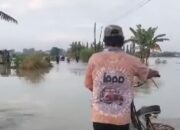 Hujan terus turun, banjir di grobogan semakin meluas