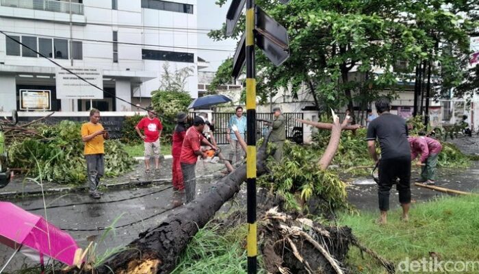 Hujan dan Angin Kencang di Semarang, Belasan Pohon Tumbang, Listrik Terputus