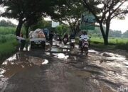 Jalan alternatif pati rembang berlubang dan bergelombang, sulit dilalui