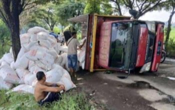 Jalan rusak di winong pati sebabkan truk terguling, muatan kotoran