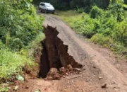 Jembatan penghubung di desa karang mas lamandau ambrol akibat hujan