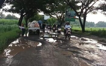 Medan berat, truk muatan pupuk kandang terguling di perbatasan pati rembang