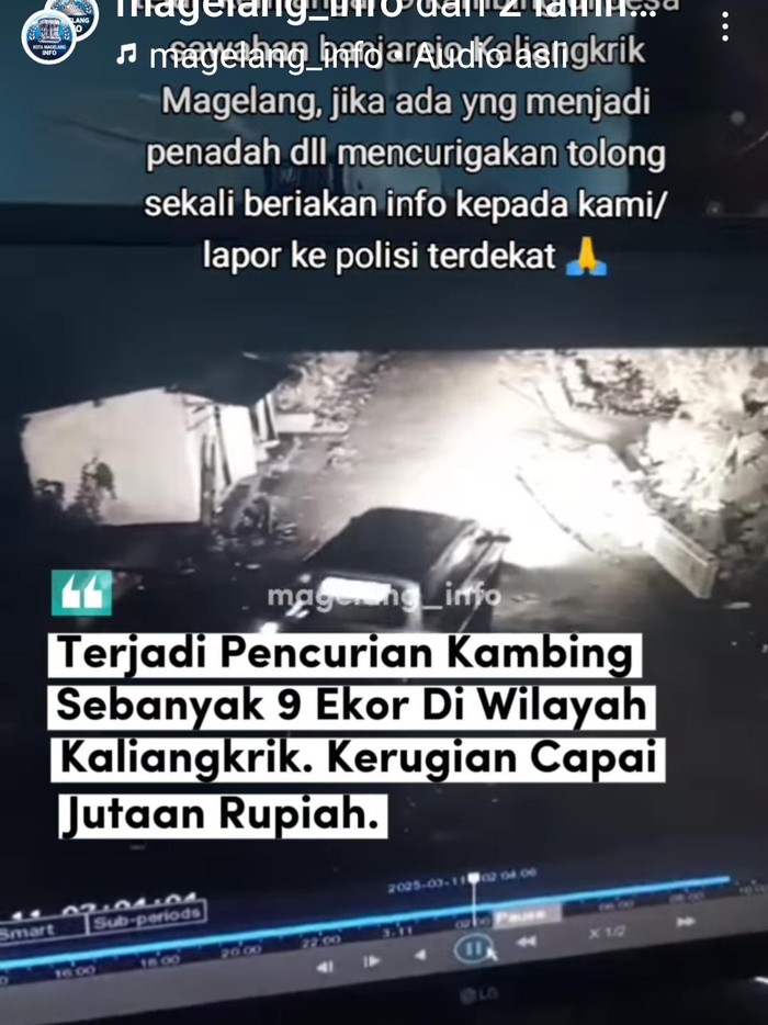 Pencurian 8 kambing pakai mobil di kaliangkrik magelang jadi sorotan