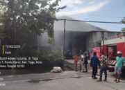 Pabrik Kayu di KIW Semarang Terbakar, Polisi Selidiki Penyebabnya