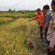 Pria di grobogan ditemukan tak bernyawa di sawah, keluarga tak