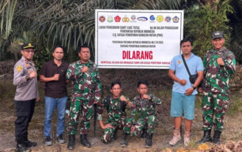 Satgas mulai tertibkan kawasan hutan di lamandau, operasi resmi berjalan