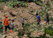 Tanah longsor di tonjong brebes, petani 80 tahun belum ditemukan