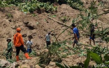 Tanah longsor di tonjong brebes, petani 80 tahun belum ditemukan