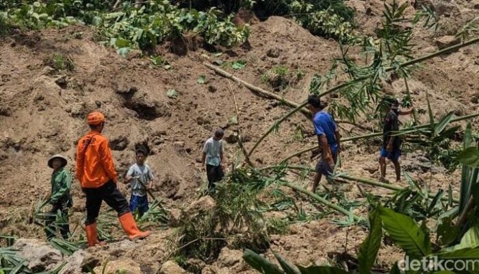 Longsor Menerjang Tonjong Brebes, Petani Lansia Diduga Tertimbun