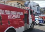 Tragedi kebakaran di semarang, 50 kucing mati terjebak di rumah