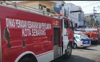 Tragedi kebakaran di semarang, 50 kucing mati terjebak di rumah